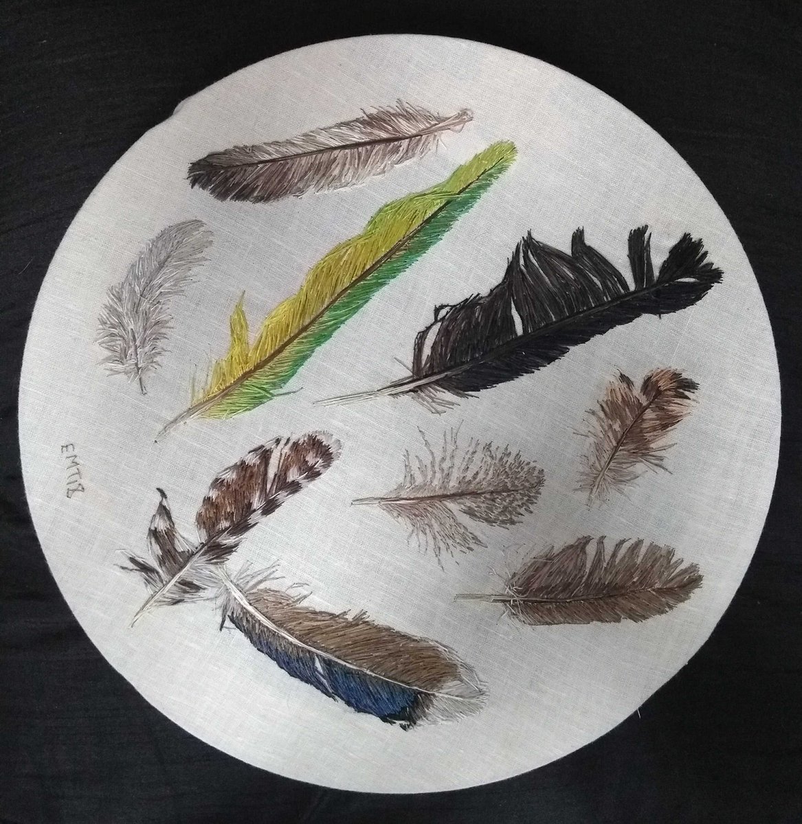 Feather Collection 1 original bird themed thread painting artwork - all feathers are created with hand embroidery only. Framed. emilytull.co.uk/store/p17/feat… #HandmadeHour #ShopIndie