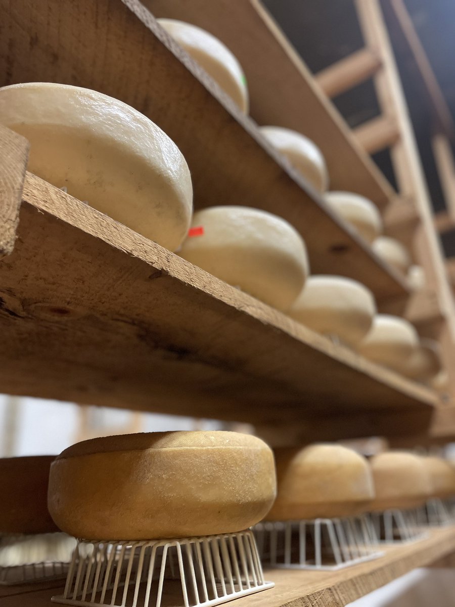 ItsRachelHolt's tweet photo. Today on @NELivingTV: we go kayaking in Rockport with North Shore Adventures, learn about the art of Bonsai with Bonsai Bar and watch the process of making Smith’s Country Cheese. Today at 11:30am on @wbz! https://t.co/zMxoruNEX7