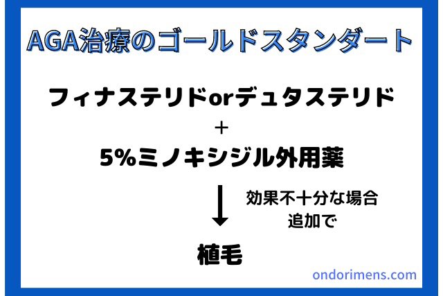 【注意喚起】
AGA治療において、下記3つ以外に万単位以上のお金をかけてはならない。

・AGA治療薬
・自毛植毛
・頭皮アートメイク

人によっては高品質なカツラや増毛もアリだけど、その他の例外は認めない。

基本はこれ。