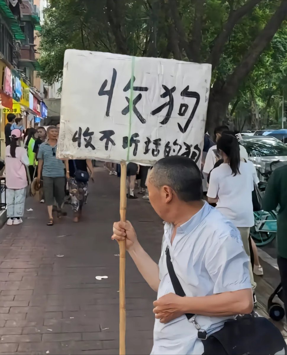 绿帽树洞 tweet media