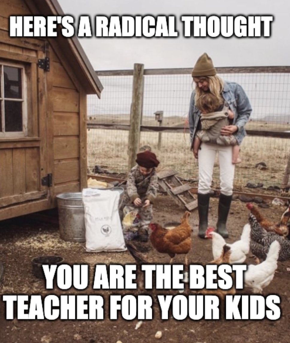 Who else will be homeschooling their kids?