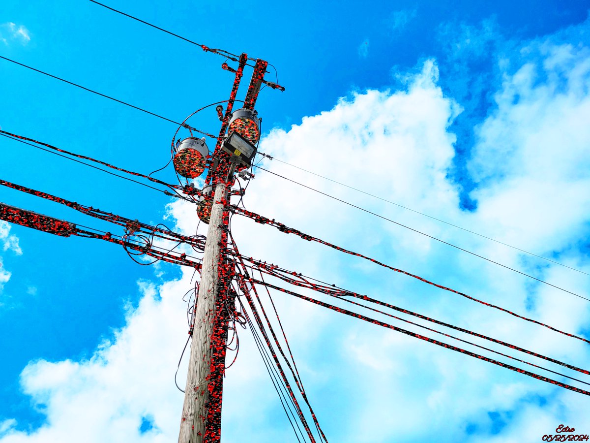 'Wired Rumblings.'

#photography #art #sky #SORA #空 

#connection #Powerline #wire #nature