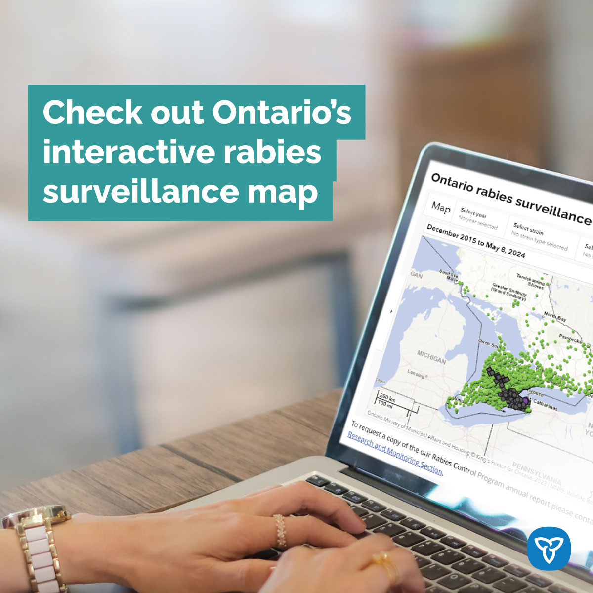 #DYK? You can view past and present terrestrial rabies cases on our interactive rabies surveillance map. Results can be filtered by year, rabies strain, status and municipality. View the map: ontario.ca/page/wildlife-… #RabiesAwarenessMonth