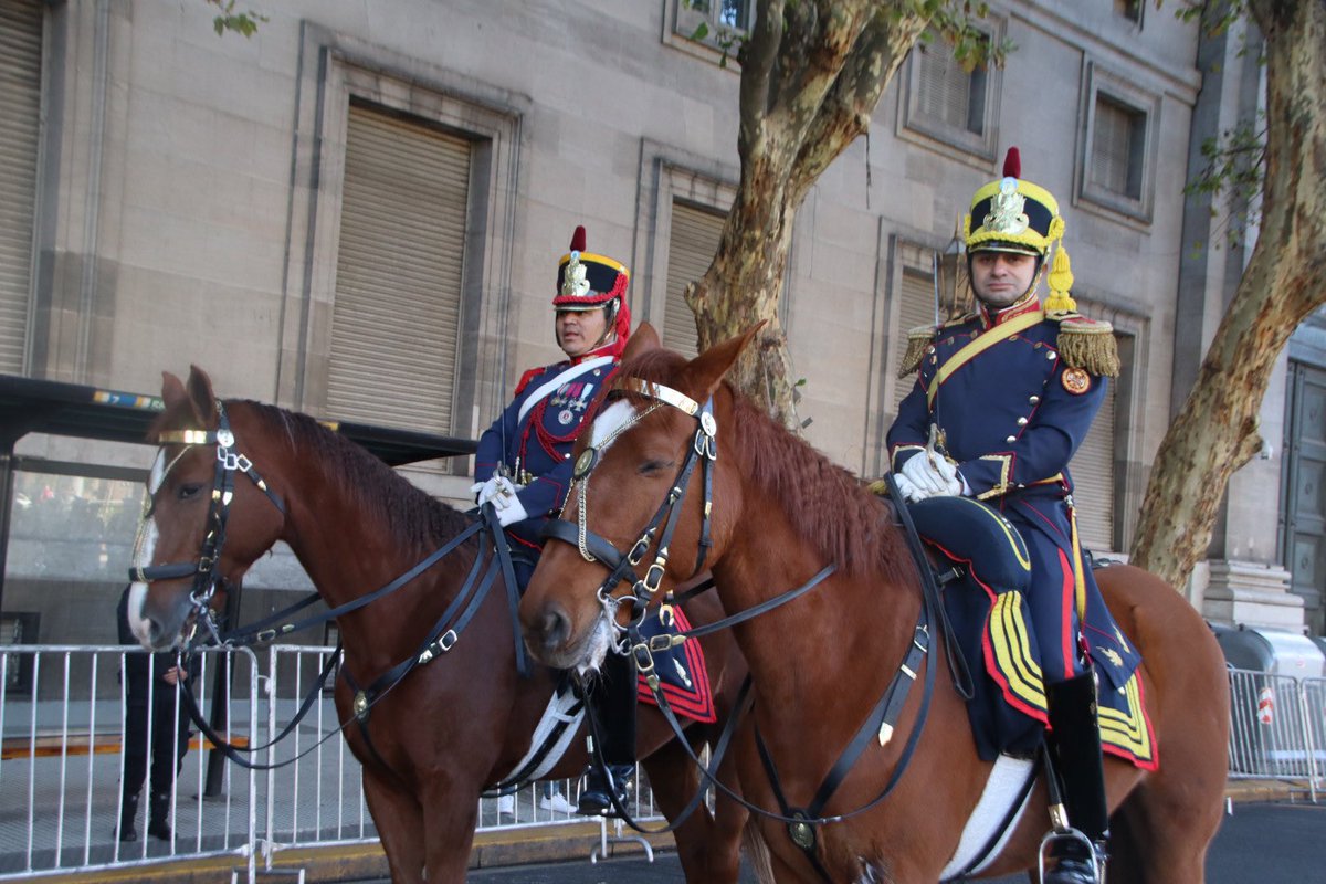 Nicolas Orchid tweet media