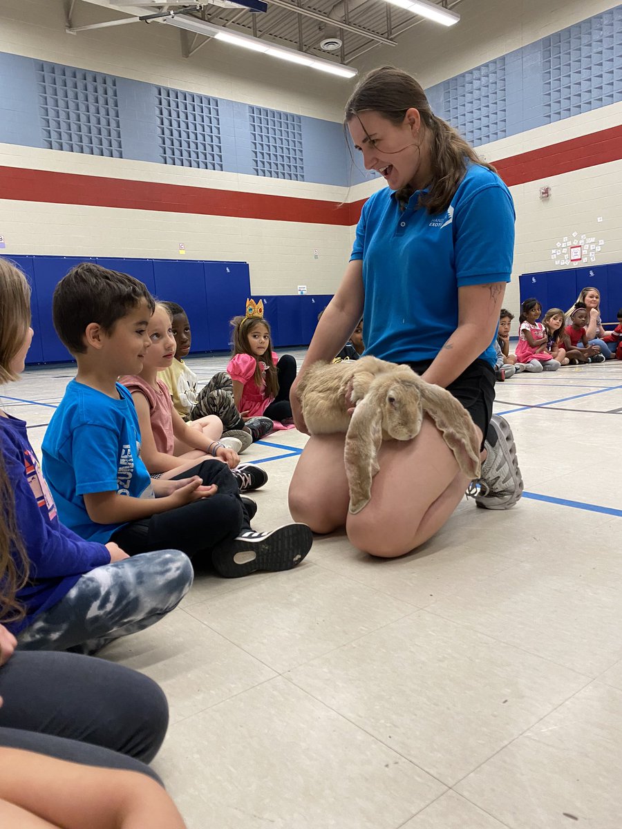 dulce_joao's tweet photo. Hands on exotic … great experience for our K students. https://t.co/UwoU6nPQhK