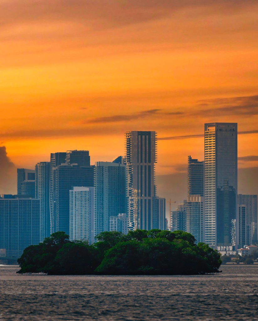 🌅 Experience the magic of Miami evenings with this breathtaking sunset view over Edgewater. Where the city meets the bay, every dusk brings a canvas of vibrant colors, reflecting the dynamic spirit of Miami.

#MiamiSunset #EdgewaterLiving #CerveraRealEstate