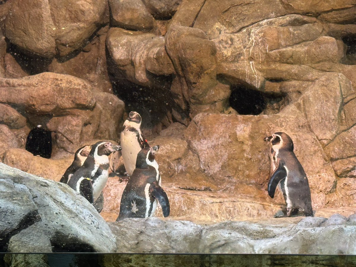 CSGSWater's tweet image. A few aquarium photos