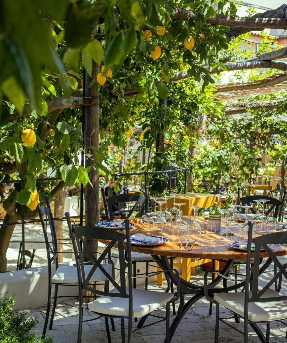marabutterfly's tweet photo. Quando ti sorprendono invitandoti a pranzo sotto un limoneto 🍋
#DonSalvatore #MontediProcida
La luce che filtra tra gli alberi, il profumo, la tranquillità, la bellezza e la bontà dei piatti e buoni vini 🥂 https://t.co/oZglVDTHUZ