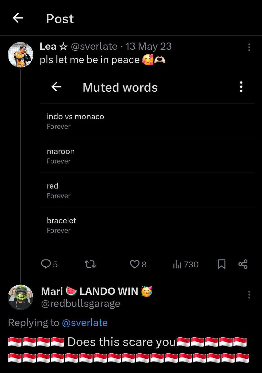 ☆ Mari ☆ Saw SKZ 😭 tweet media