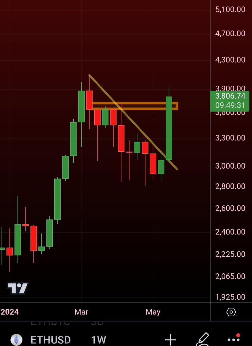 Matthew Hyland tweet media