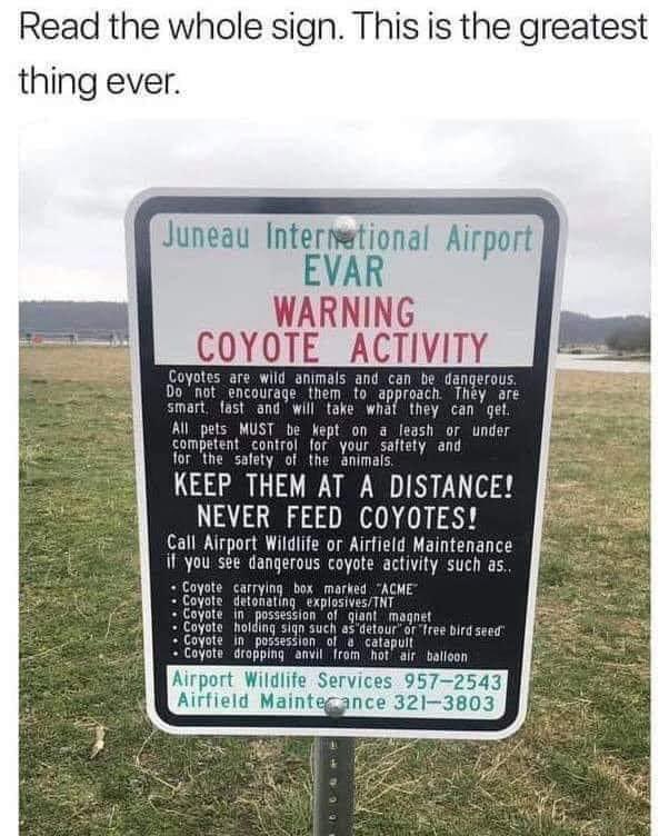 Rothmus 🏴 (@rothmus) on Twitter photo 