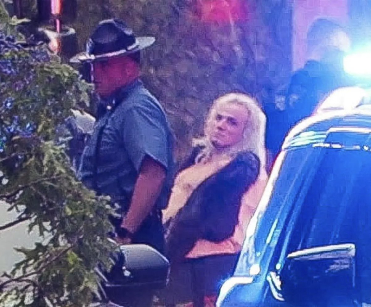 Libs of TikTok tweet media