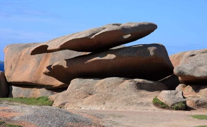 L'île Renote (Enez Rennod en breton) est une île de la Manche, appartenant à la commune française de Trégastel, dans le département des Côtes-d'Armor, en Bretagne. Elle est située sur la Côte de granit rose.