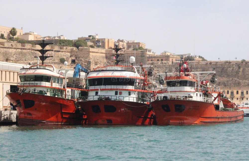 BFT Season 2024 – 4 Turkish Purse Seiners at Valletta, Malta – 25.05.2024 Read more by clicking this link - maltashipphotos.com/bft-season-202… @EUFisheries @EFCA_EU @EufaFisheries @FAOfish @FAO @FAOstatistics @ICCAT @EAPO_EUfishPOs @EU_Commission