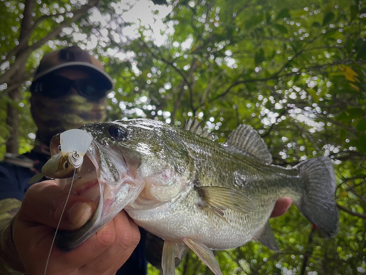 FMC_UMA's tweet photo. 久しぶりの室生ダム‼️
エリア選びに悩んだけど
何とか絞り出せた1本😆✌

#FISHINGMONSTERCREW
#ボトムアップ
#ジョリー
#室生ダム https://t.co/9ntTy9ar0E
