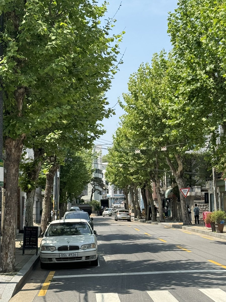 🌳한적하고 여유부리기 좋고 
분위기도 좋은데 디저트까지 끝내주는 
연남동 카페 추천 타래..☕️🍽️