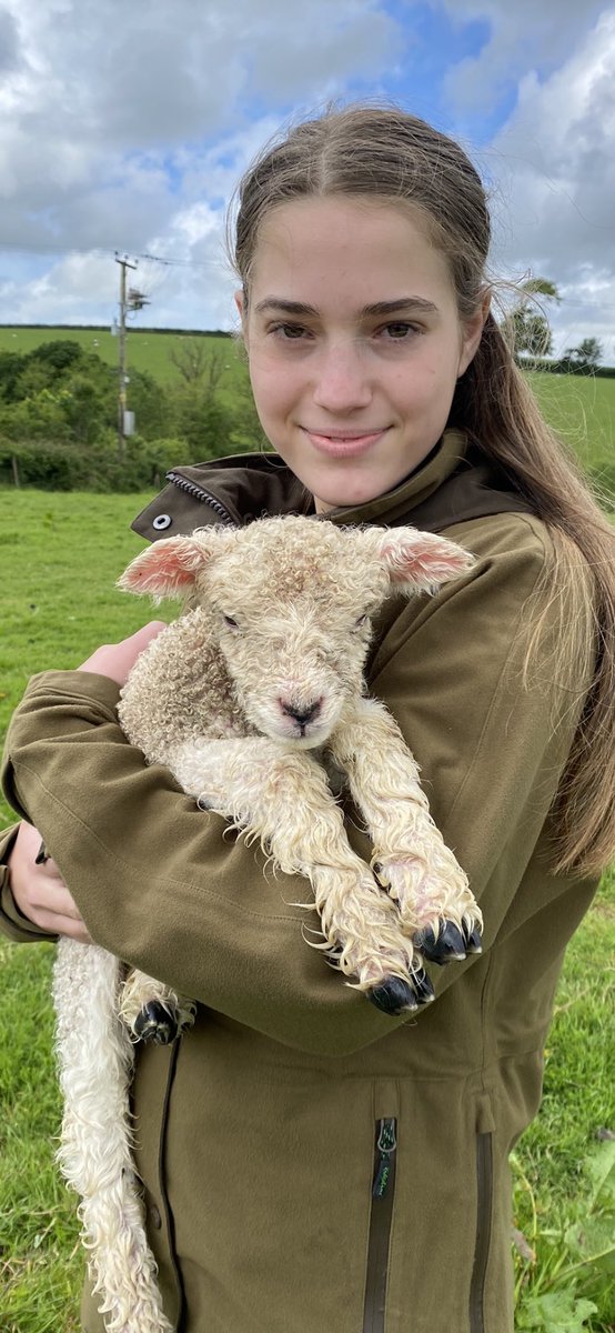 Well I guess we hadn’t finished #lambing24 . Lovely #newborn ewe #lamb . #devon #backbritishfarming