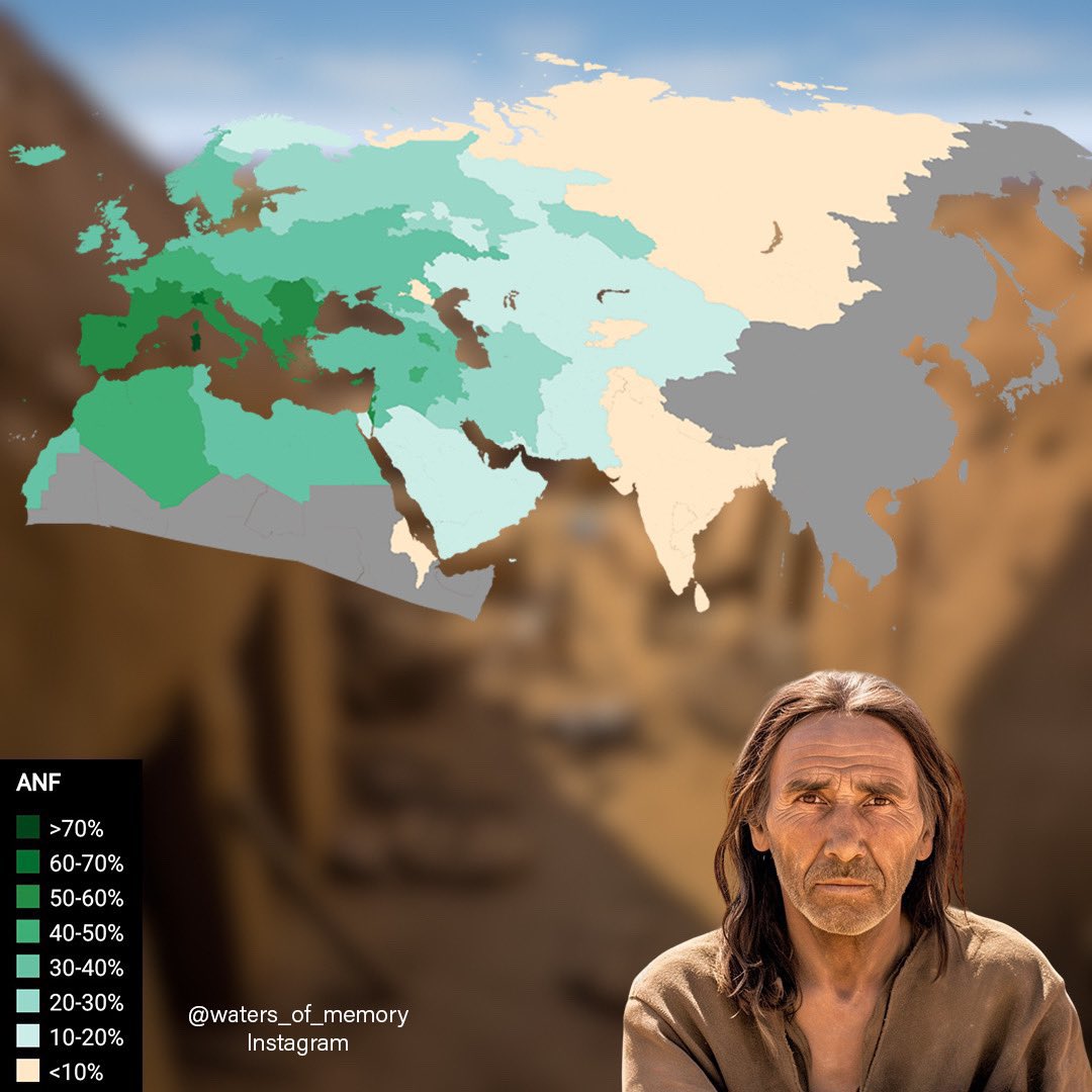 Tocharus's tweet image. The taking good care of dogs gene comes from Ancient North Eurasians.
The taking good care of cats gene comes from Anatolian Neolithic Farmers.
People high in both have the best general animal welfare cultures on Earth.