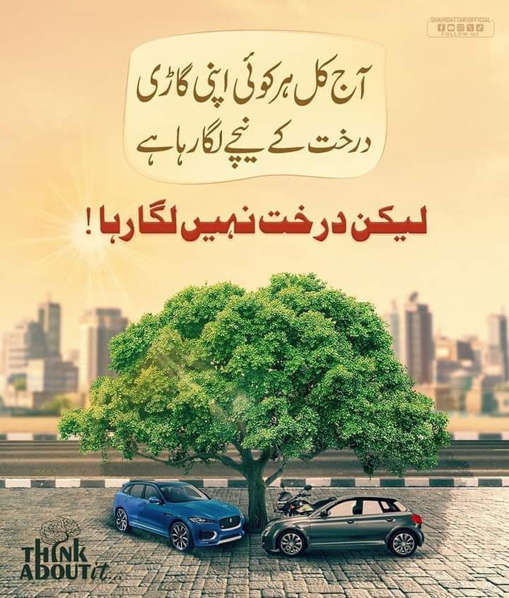 درخت لگائیں اور اپنی نسلوں کو بڑھتی ہوئی گرمی سے بچائیں #plantatree #trees #HeatWave