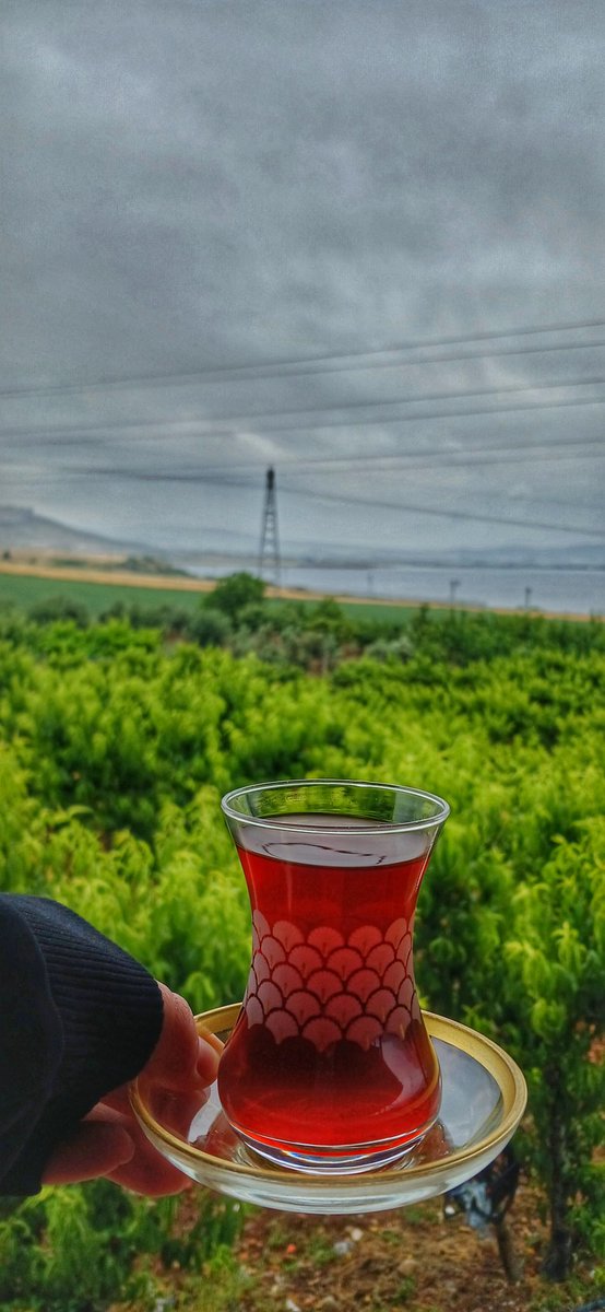 Gelmek bilmeyen bir yaz😒🤨