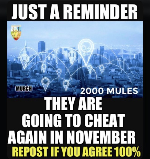 RickyDoggin's tweet image. They already started cheating. They are trying to throw Trump in jail.