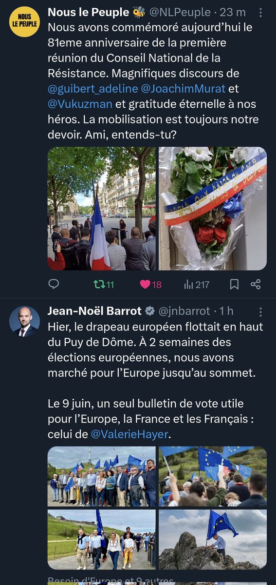 Ma TL , 2 ambiances différentes. Les souverainistes de @NLPeuple qui rende hommage au héros français du CNR et un macronard avec son cancer a drapeau bleu étoilé fausssoyeur de la France et de la démocratie . A vous de choisir .