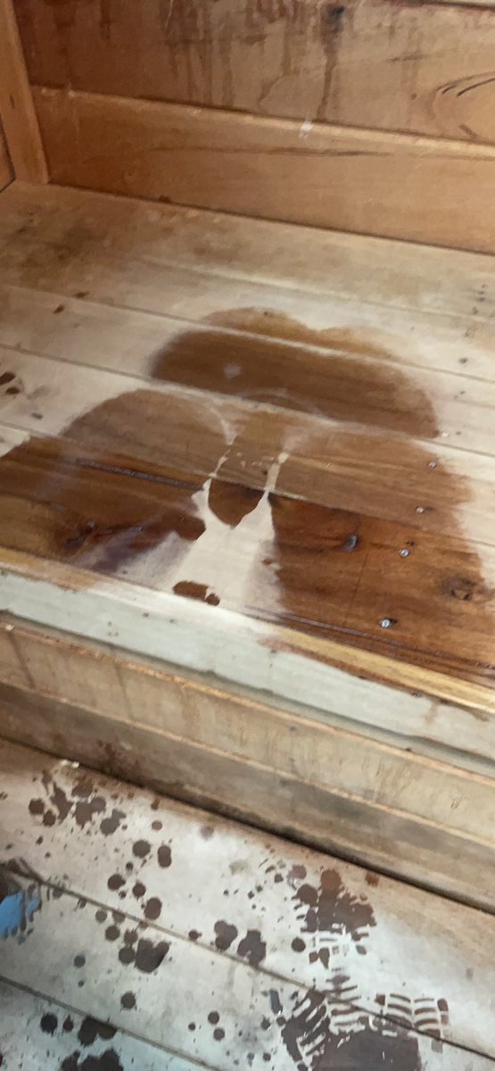 My sauna swear print