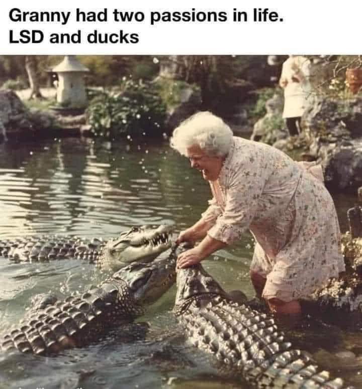 Granny had two passions in life. LSD and ducks. 🦆#laughtertherapy #laughs #laughoutloud