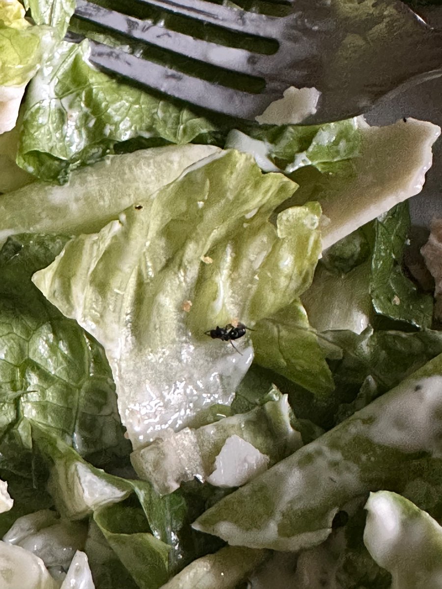 Comewithdannah tweet media