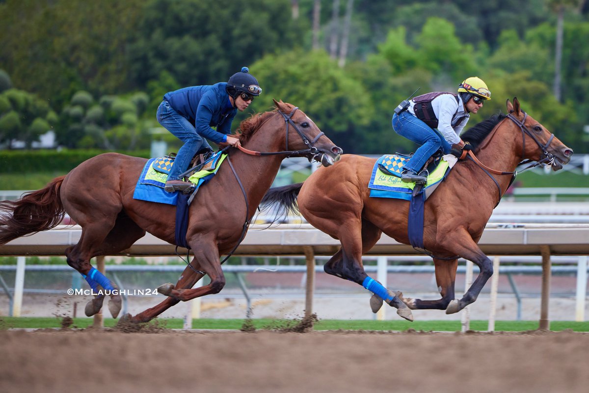 Great looking 3/4 in 1:11.00 for National Treasure yesterday under Juan Ochoa working outside of Jackstown who had the bullet 5F in 58.60 with Erick Garcia up for HoF trainer Bob Baffert @santaanitapark @StarlightRacing @StonestreetFarm @MadaketStables @BobBaffert