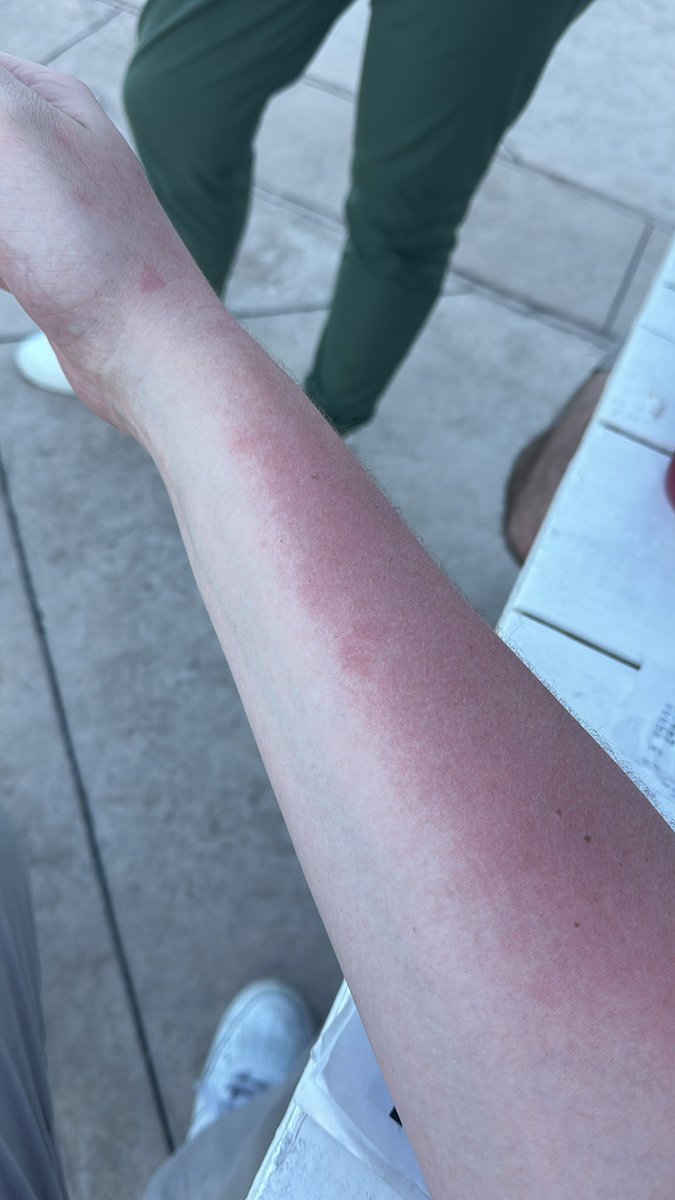 W_B_Rick's tweet image. The title of White Boy isn’t owned, it’s leased. And rent is due every day.