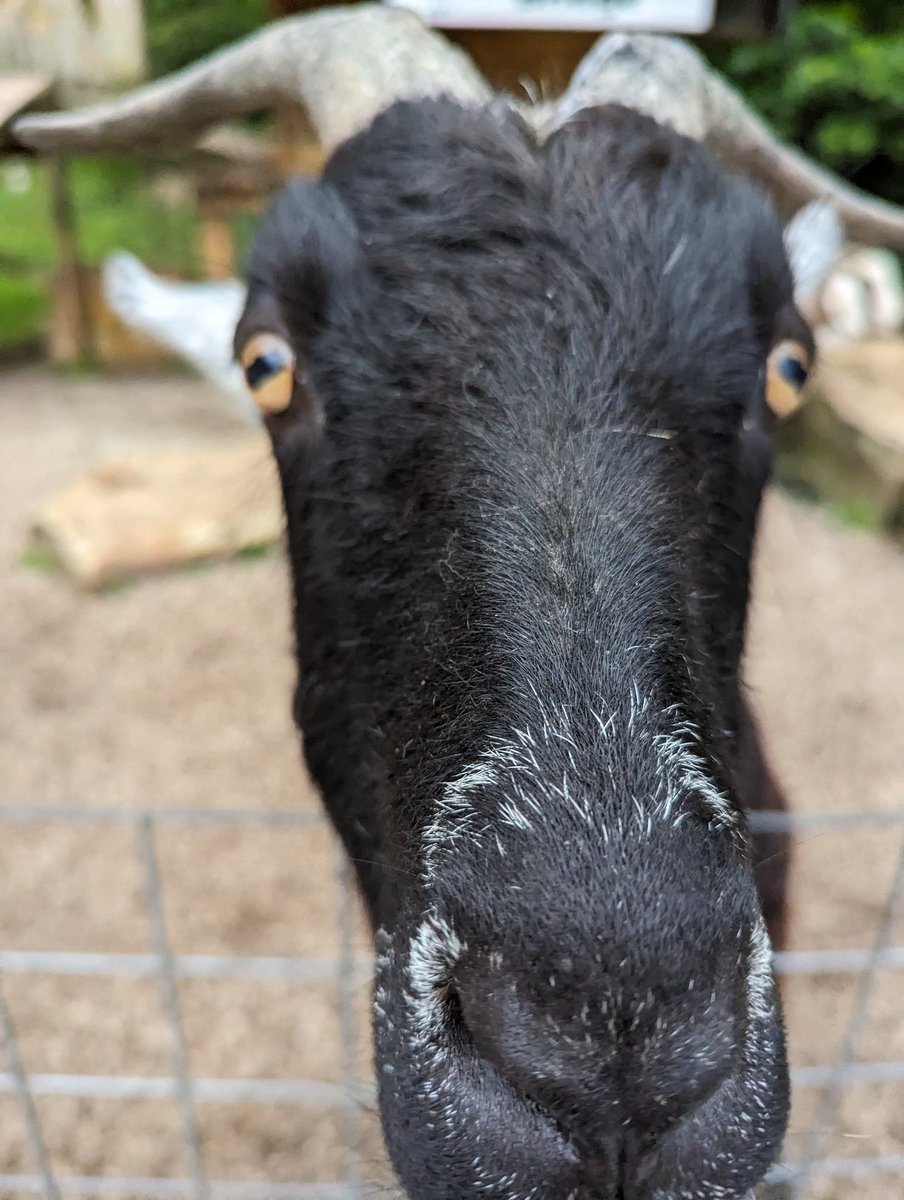 Matt Spangler tweet media