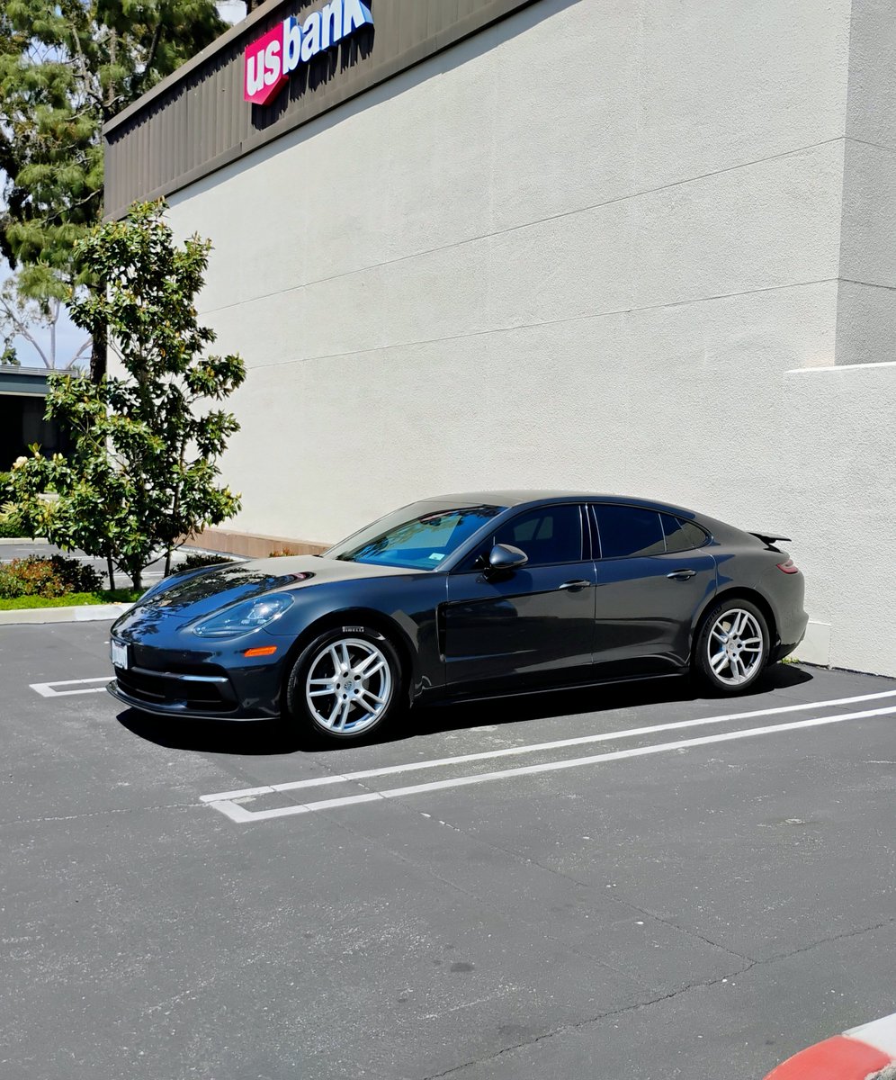 Panamera spotted in the wild 🎋