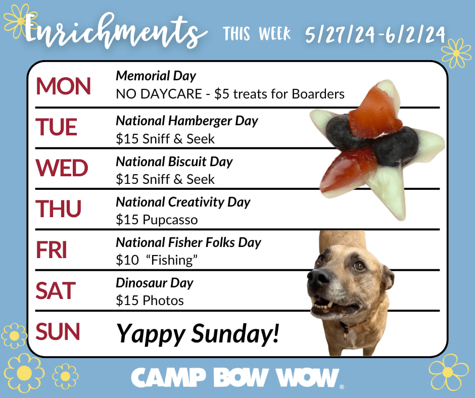 Puptastic playdates await! Don't let you Camper miss out on all the fun! 

#enrichmentsfordogs #fundays #doggydaycare #boarding #campbowwow #henderson