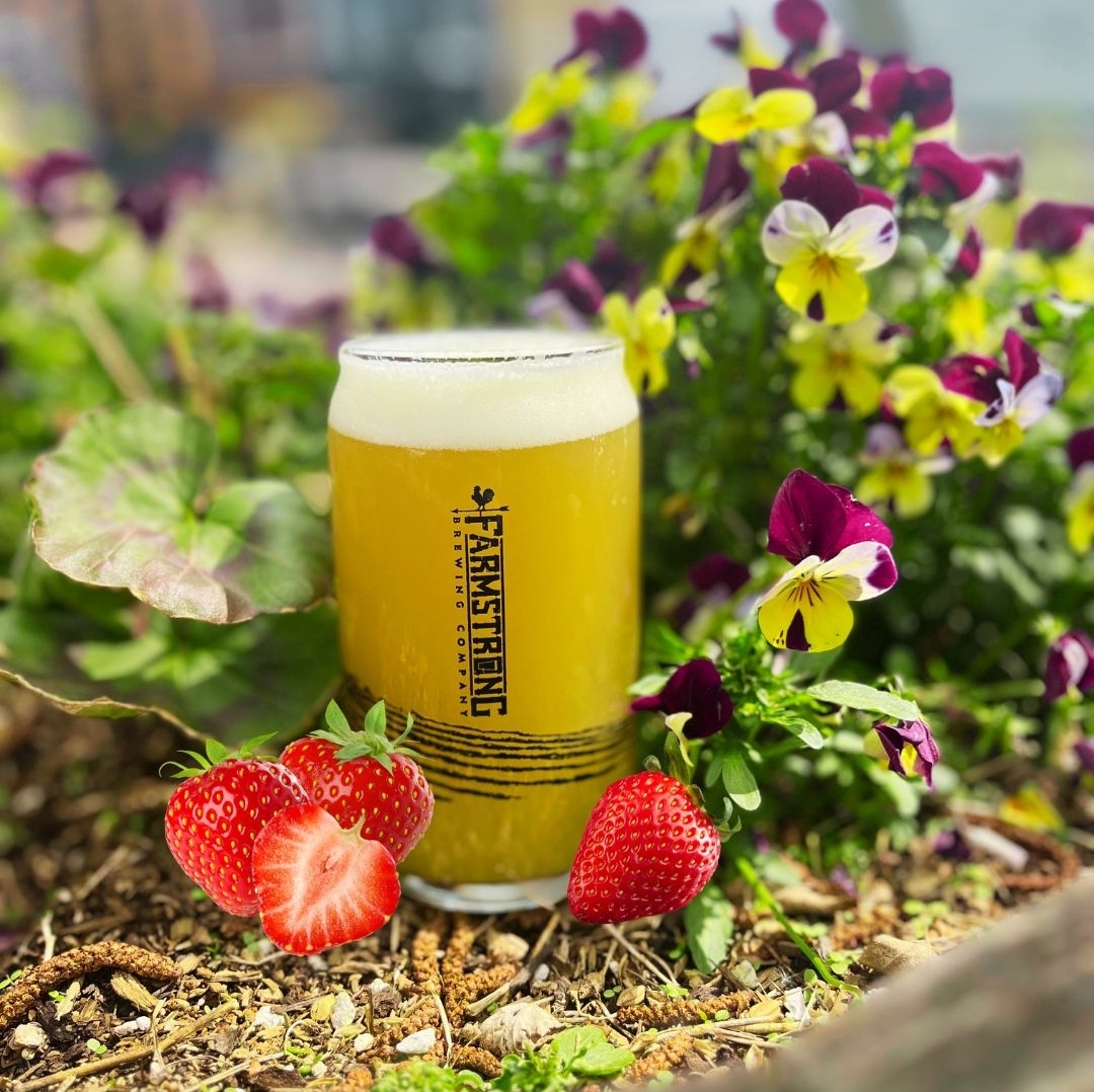 Take the #SkagitFoodTrail to Farmstrong Brewing Co.  in Mount Vernon to try Strawberry Dairy Haze. Now on tap while supplies last! 🍓🍻
visitskagitvalley.com/skagit-food-tr…

Discover the Magic of Skagit #magicskagit✨

📷: Farmstrong Brewing Co.