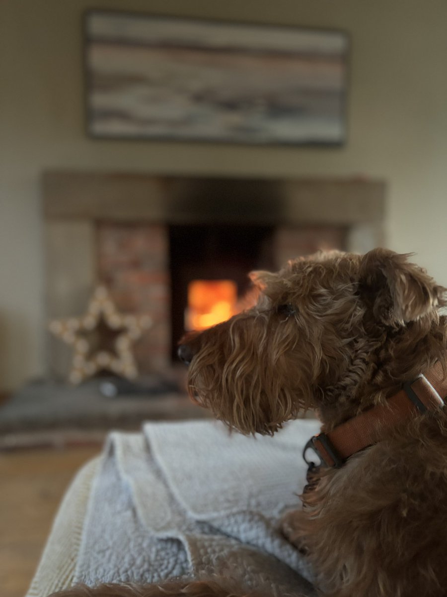 Bit chilly n wet for late May. Hoping for some better weather. How’s things with you pals? #springtime #rain