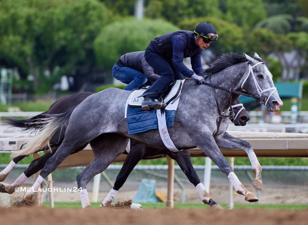 Nice looking 5F in 58.80 for Sweet Azteca yesterday under Tony Gutierrez for trainer Michael McCarthy @santaanitapark @mwmracing