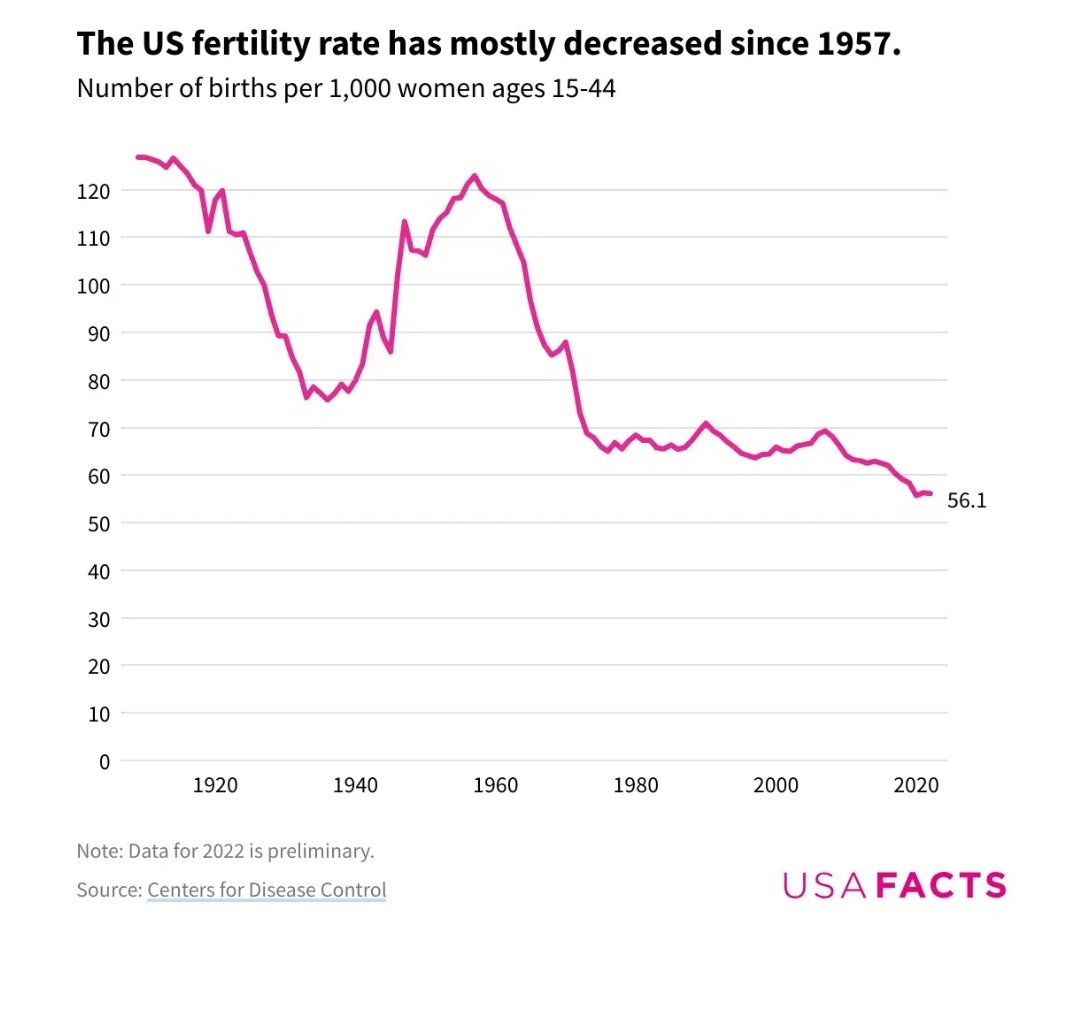 @GladiusRomae @iddiahane @fleshyuwu @Atlanticesque @Flatt0pH8r 'Birthrate wasnt 0 during the Depression' is a braindead arguement