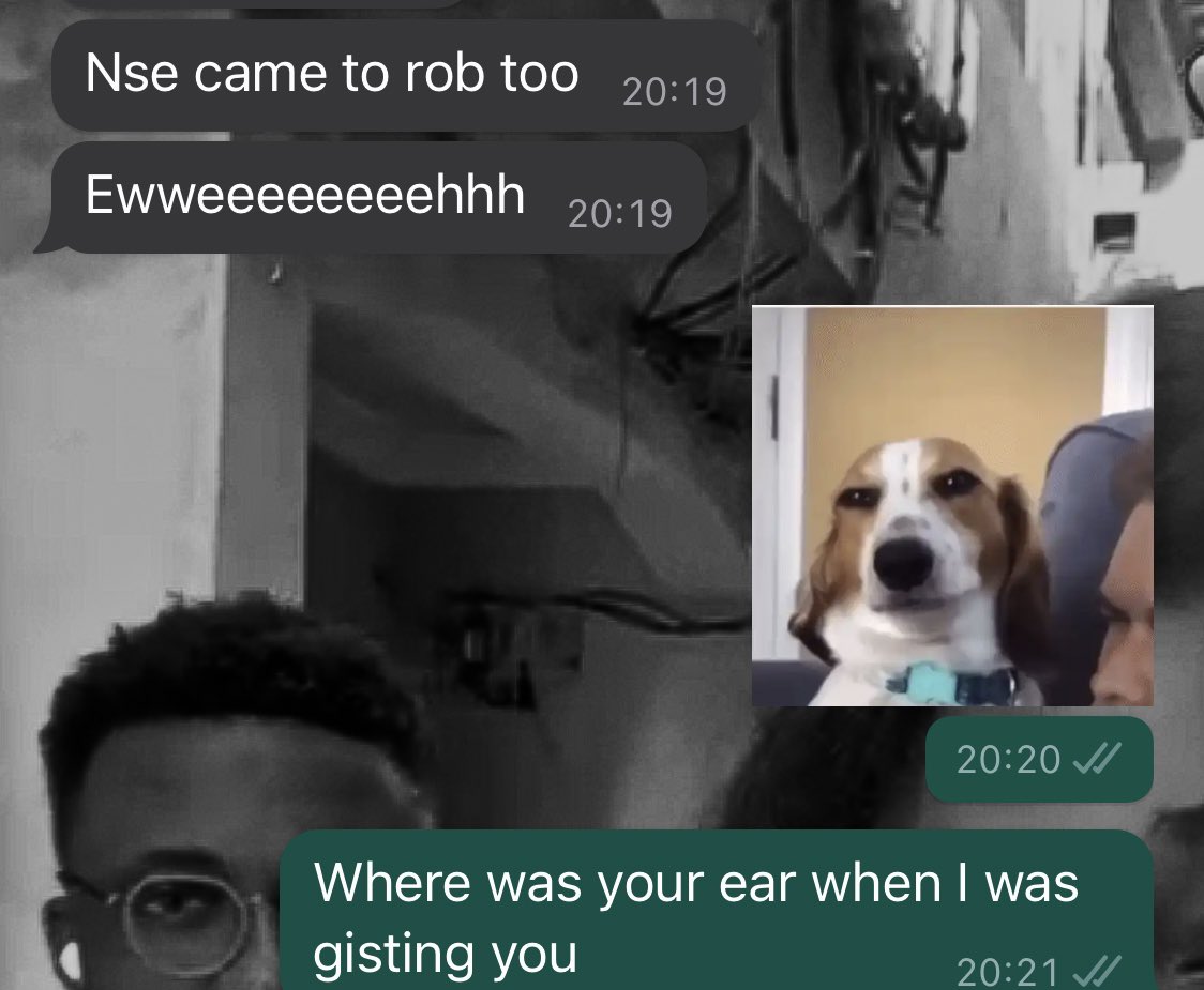 SEKEMI🍁 tweet media