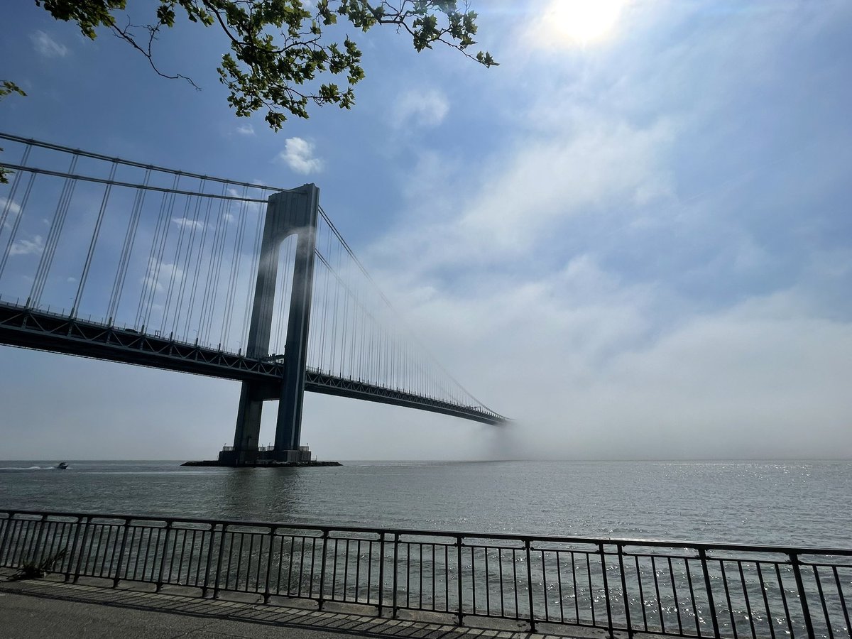 vecchitto tweet media