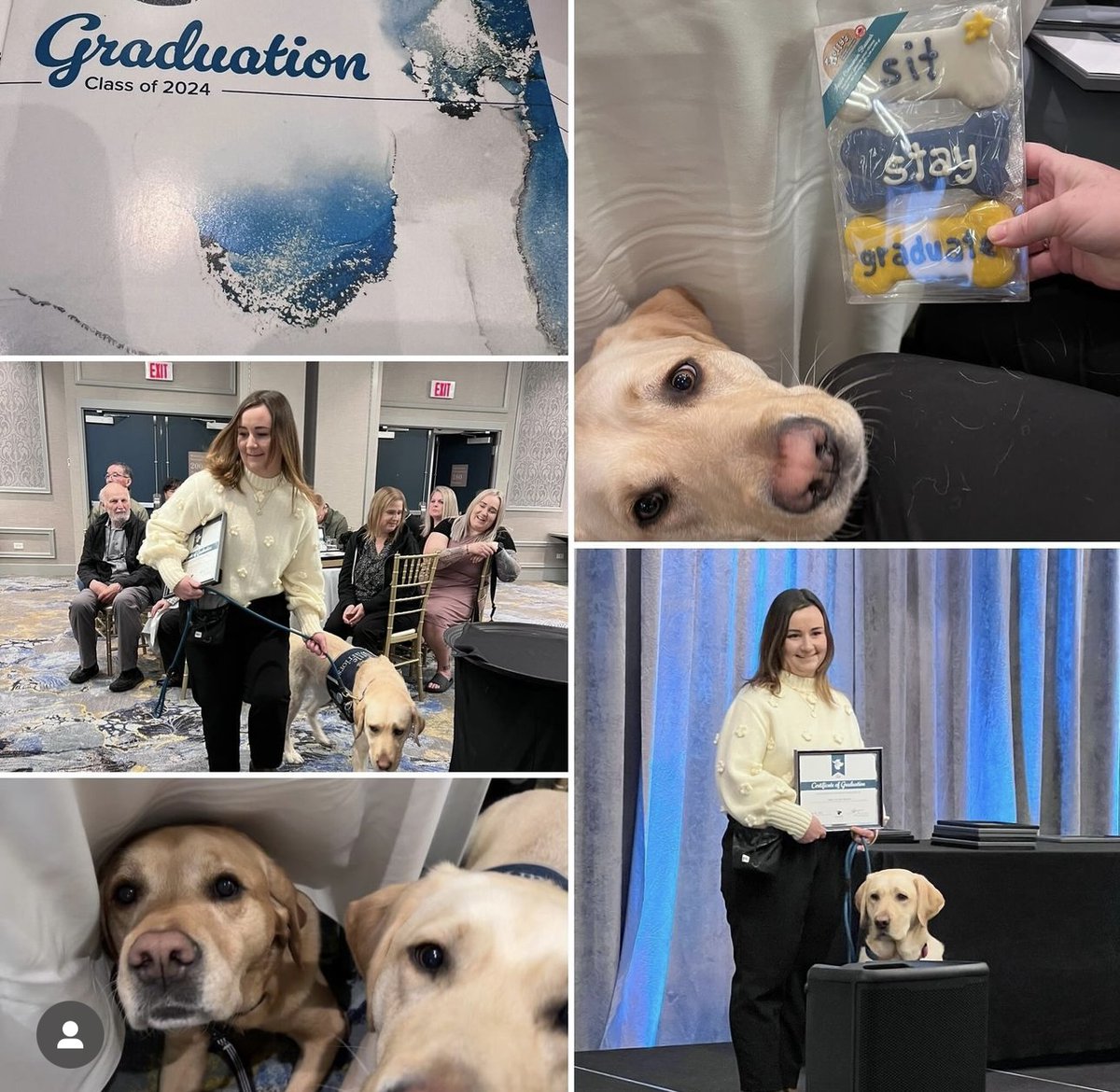 🎉🐾🎓 Congratulations today to Therapist Danielle and DWW Eddy! It was Graduation Day with Dogs with Wings, and we are SO GRATEFUL to our facility dogs at Little Warriors! 🎉🐾🎓

#healingtrauma #dogswithwings #graduation
#therapydogs #animaltherapy #transforminglives