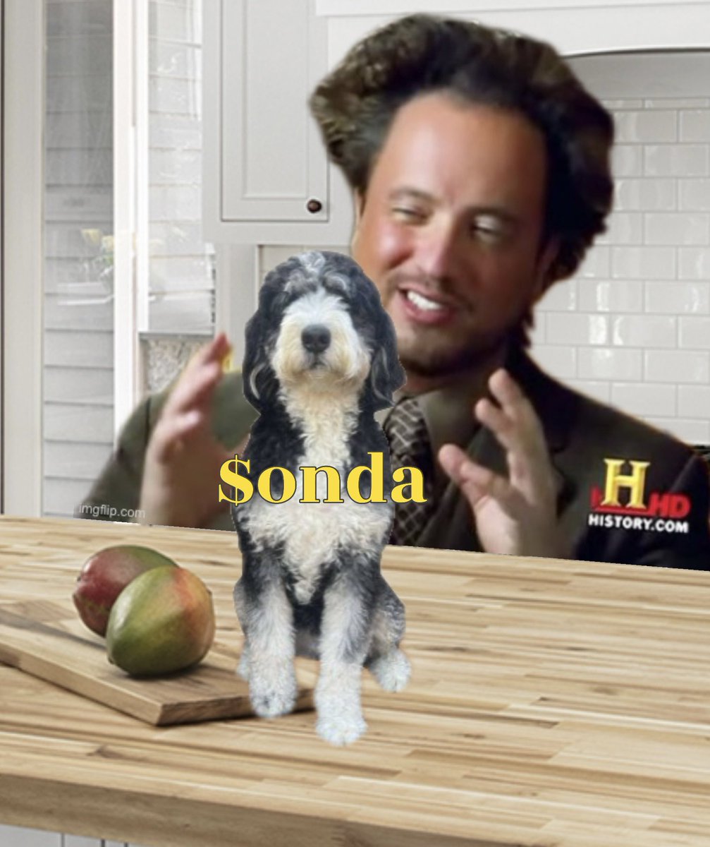 There's this thing, it's called $onda