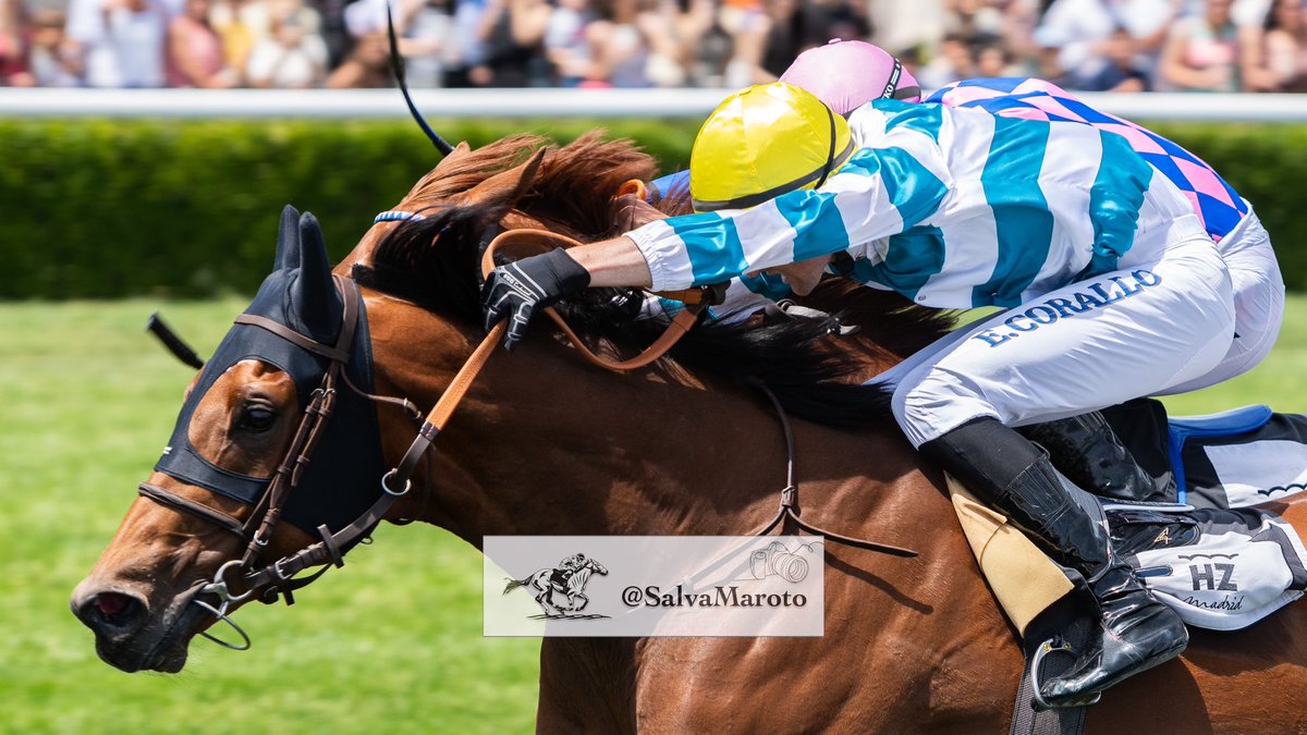 Bonito duelo por el Premio Nertal.

<a href="/CoralloEnzo33/">Corallo Enzo</a> 
<a href="/Patrikolave/">Patrik Olave Racing</a> 

#FaithRose