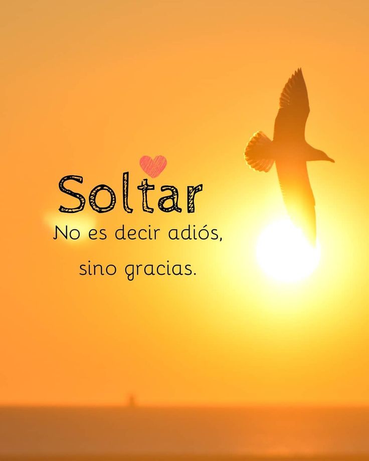 A veces hay que...
Borrar los mensajes
Borrar los números
Soltar y seguir adelante
No tienes que olvidar quién era esa persona para ti
Sólo aceptar que ya no es esa persona🌻
#MedicinaParaElAlma ♥️
#FelizTarde ❤️💛