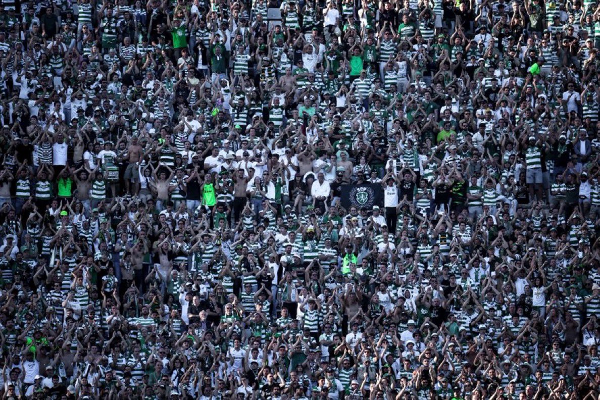 b13mcs's tweet photo. Somos da raça que nunca se vergará 💚 https://t.co/Veckrkrdch