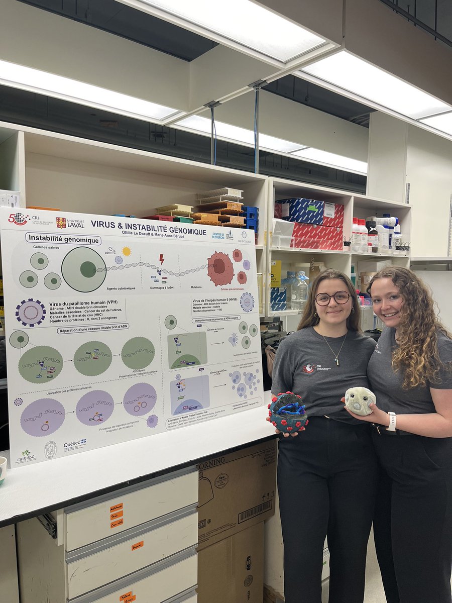 Got the pleasure today with Marie-Anne to represent @AmelieFT ´s lab at the Centre de recherche en Infectiologie from <a href="/universitelaval/">Université Laval</a> . We discussed the ability of virus to cause genomic instability and escape innate immunity, precisely with the exemple of HPV and HHV6.🦠