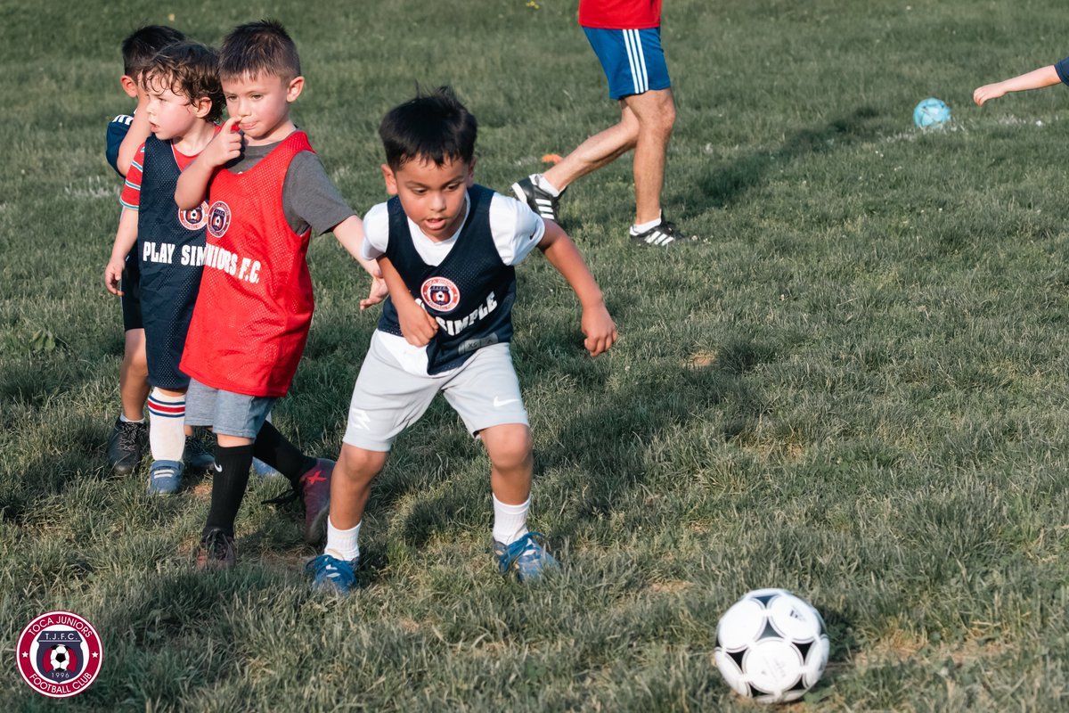 ⚽️ Soccer for Kids (Ages 4 to 8)

Want to join? Contact us!
info@tocajuniors.com

🔵🔴 #WeAreToca #TOCA #tocajuniors #PLAYsimple #TOCAsimple #Futbol #Football #soccer #YouthSoccer #Boys #Girls #activekids #springtraining #springsoccer #littlekickers #soccerforkids