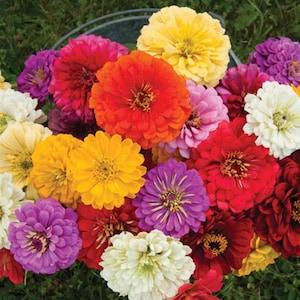 Check out this product 😍 Samuel Oatley Flowers 😍 by flowerhint starting at $94.68. Shop now 👉👉 shortlink.store/omsbqjce0vth