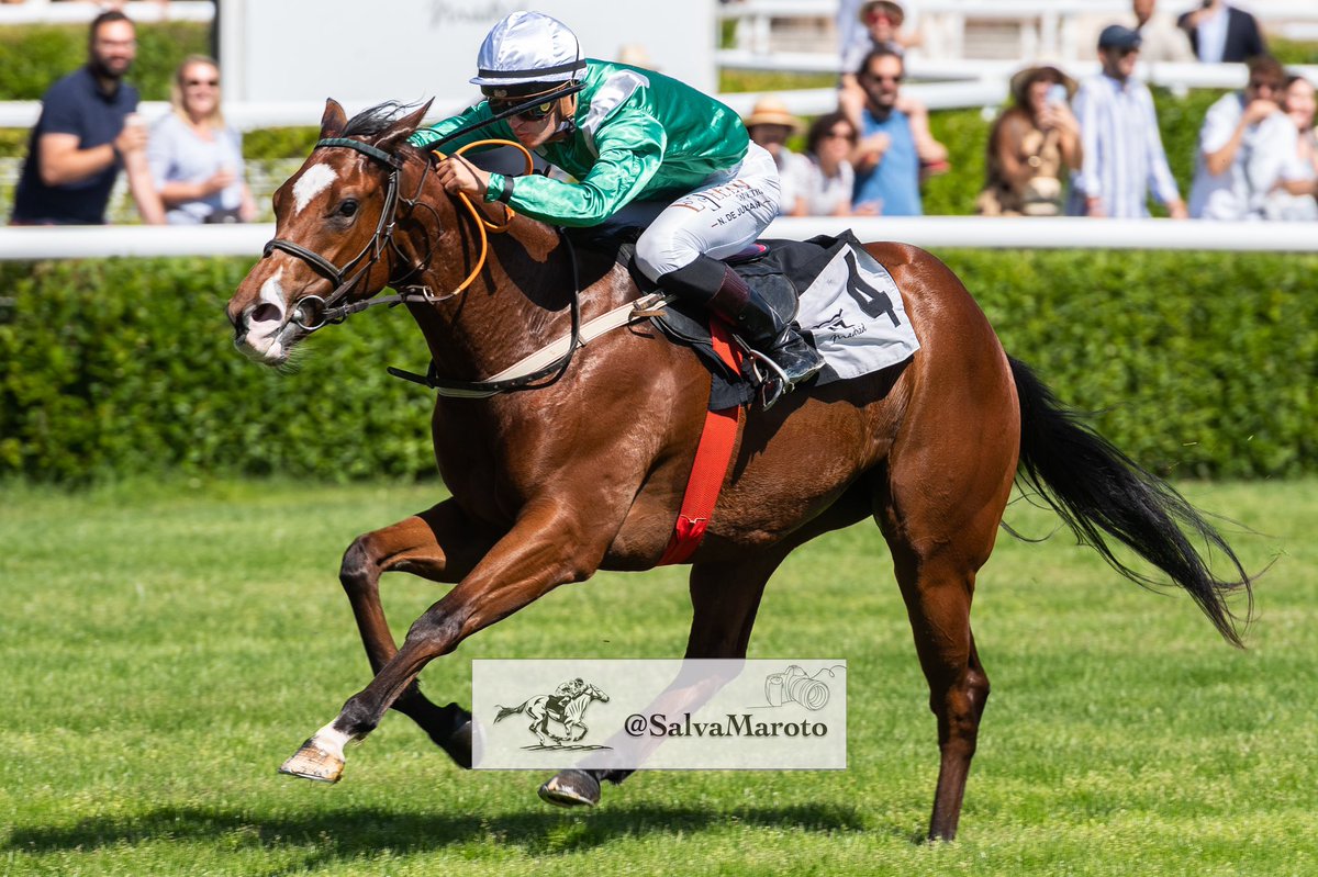 SalvaMaroto3's tweet image. Nico +1
El fijo del día.

#Octans 
@EfrainArguinzo2 
@Nicodejulian