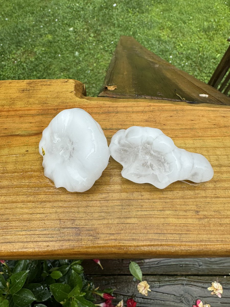 Mindy Walker tweet media